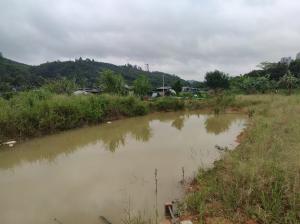 高新区新际路旁鱼塘空地出租，可做钓场，农家乐